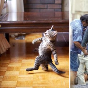 Leonardo DiCaprio jako namachrovaná kočka.