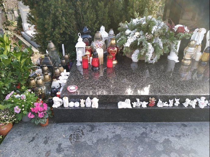 Foto k tématu Karel Gott – stránka 414