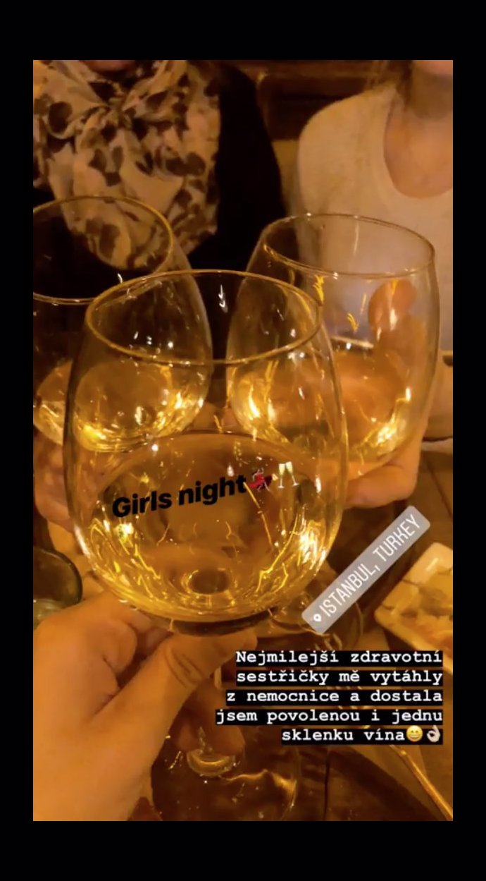 FOTO: Týnuš odešla z nemocnice a sestřičky ji napájely vínem. – stránka 362