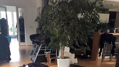 FOTO: Lucie Bílá má doma klec. Zřejmě na psa.