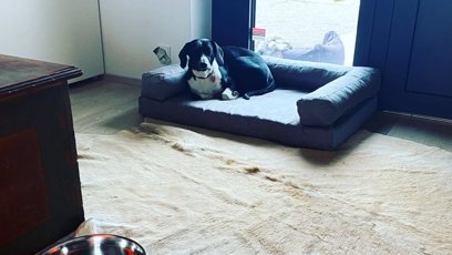 FOTO: Agáta Hanychová