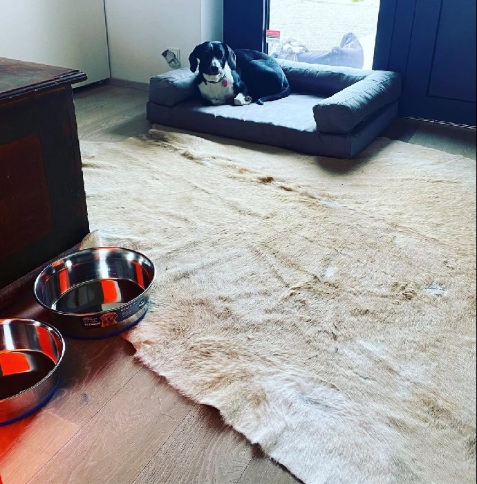 Foto k tématu Agáta Hanychová – stránka 3404