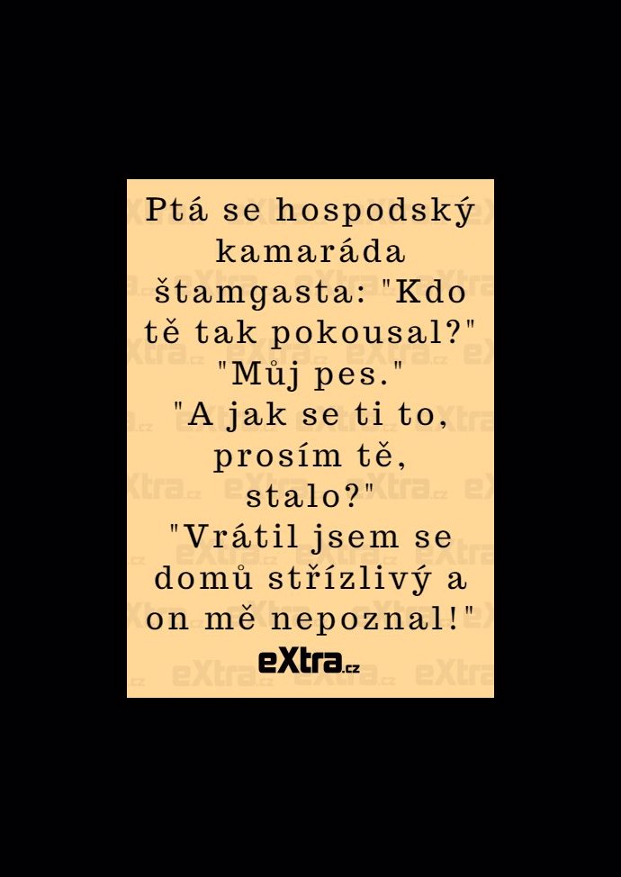 Foto k tématu Vtipy – stránka 1255