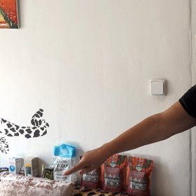 Marie Pojkarová je milovnicí zvířat.