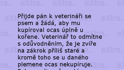 FOTO: Vtipy