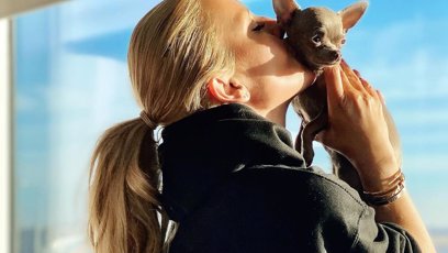 FOTO: Do Karibiku vzala i nejmenšího člena rodiny, a to čivavku Angelu.