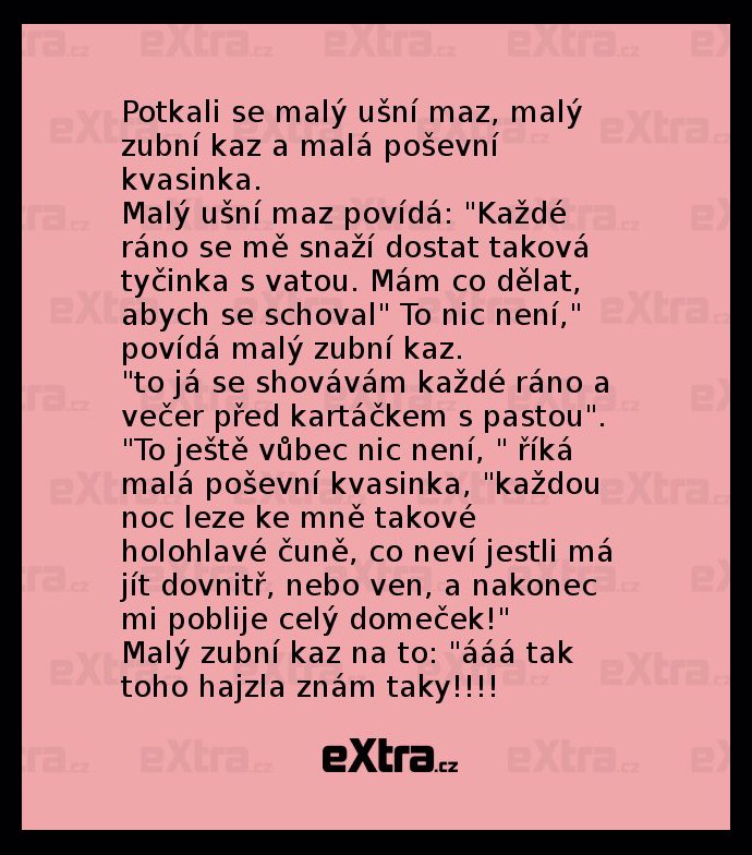 Foto k tématu kaz – stránka 2