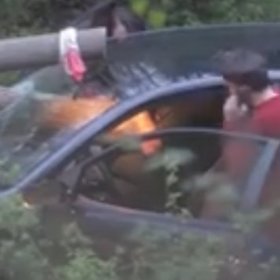 Kolik z vás by udělalo to samé co Leoš Mareš?