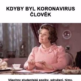 Fanoušci Harryho Pottera jistě vědí.