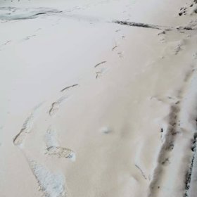 Lososový sníh zaznamenali v Liberci či Nejdku