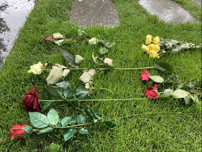 Foto k tématu Karel Gott – stránka 371