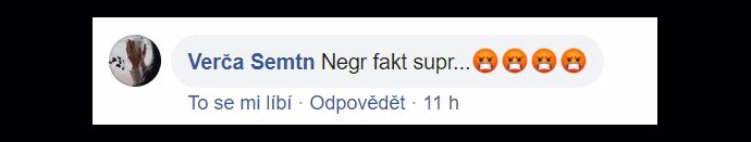 FOTO: Ani velmi hrubá označení pro novou postavu nebyla v komentářích výjimkou. – stránka 1029