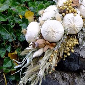 Partnerem pořadu je česneková tinkura Allivictus.