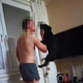 Rozkošný labrador, který mu nic neudělal, měl dokonce zlomenou pánev.