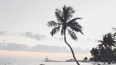 FOTO: Chuděra malá...no nehoďte jí korunu...