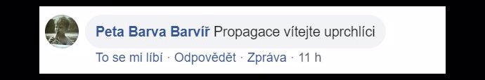FOTO: Jsme opravdu národ rasistů? – stránka 1033