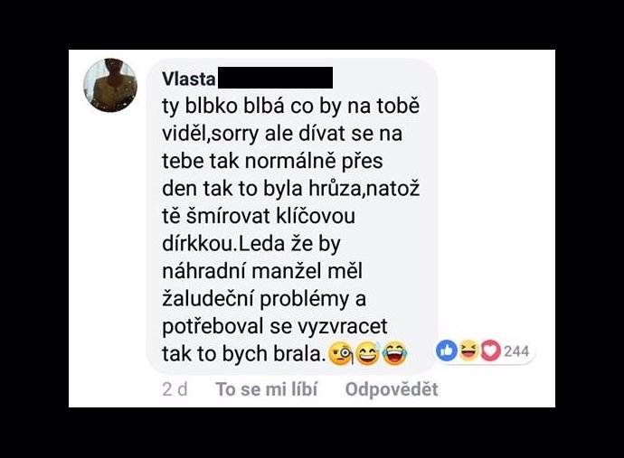 FOTO: Když Marie obvinila náhradního manžela ze šmírování, strhla se vůči ní lavina nenávisti. – stránka 2067