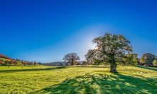 Česko zažívá příval teplého vzduchu z Afriky: Dočkáme se i 17 stupňů