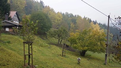 FOTO: Lucie Bílá - libentiny