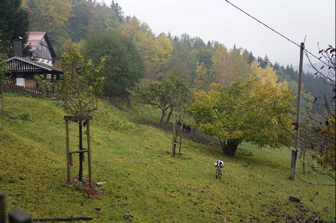FOTO: Lucie Bílá - libentiny – stránka 464