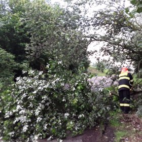 Mnohdy musí jet ořezat i některé stromy.