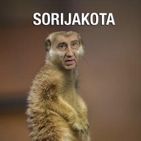 Sorijakota roztomilá!