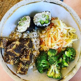 Nucení psa do veganské stravy je pro některé fanoušky jako týrání.