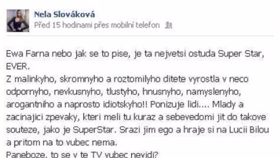 FOTO: Nela Slováková a její výlev z roku 2013.