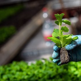 HEZKY ČESKY: 4.díl: Čerstvé bylinky do tradiční české kuchyně