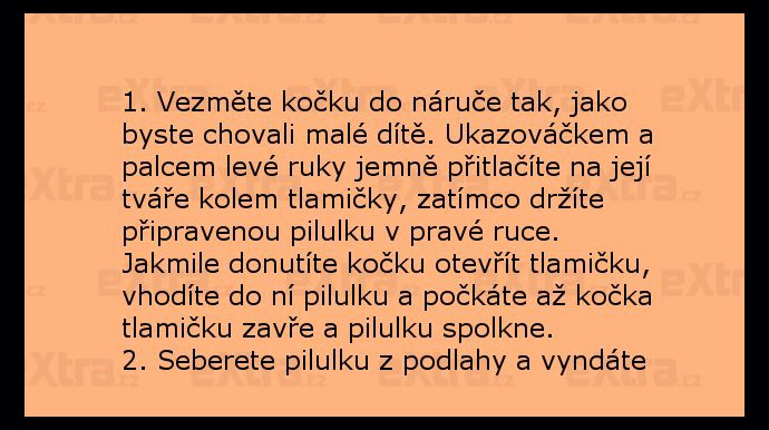 Foto k tématu Vtipy – stránka 2297