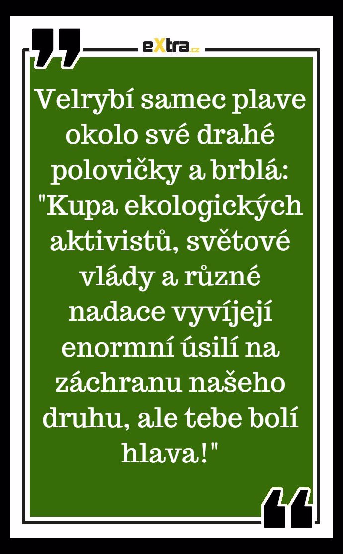 Foto k tématu Vtipy – stránka 1559