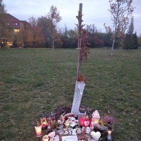 Mareček mohl žít dlouhý a šťastný život.