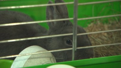 FOTO: Výměna manželek