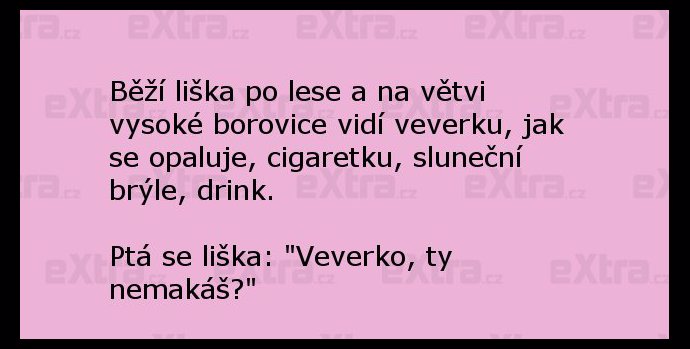 Foto k tématu Vtipy – stránka 2179