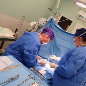 Gabriel Jiráčková se nechala slyšet, že gravitace táhla její ňadra k zemi