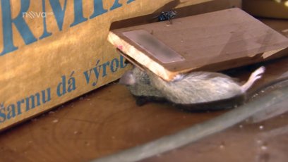 FOTO: Výměna manželek