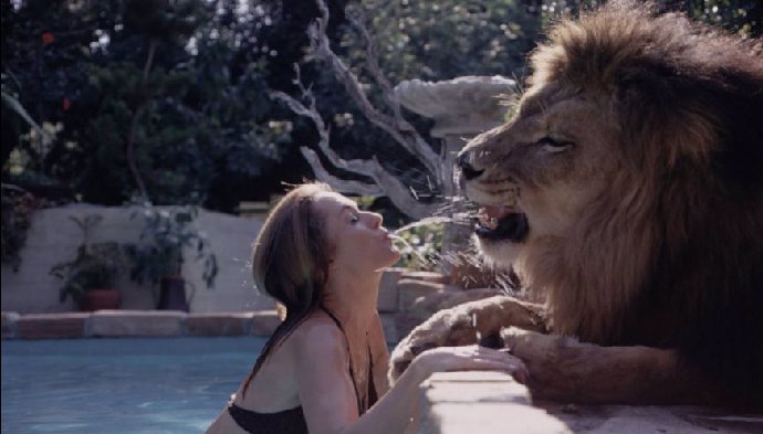 Foto k tématu Melanie Griffith – stránka 10