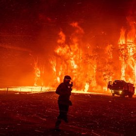 Krize australských požárů. Autor: Matthew Abbott