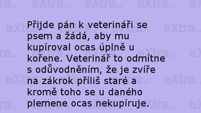 FOTO: Vtipy