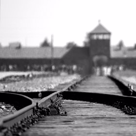 Dotyční tiktokeři se obhajují tím, že se snaží vzdělávat veřejnost a sdílet příběhy svých předků.