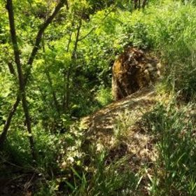 Dyjákovice – bunkr s pozemkem.