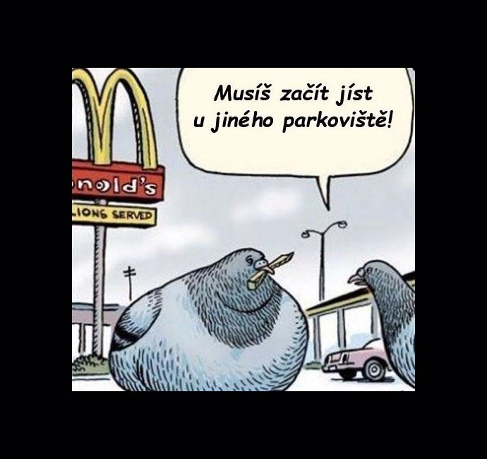 Foto k tématu McDonald's – stránka 14