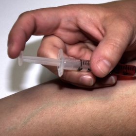 Děti, zvířata i dospělí si je mohou zabodnout do body nebo do nohy či packy.