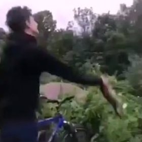 Mladík kotě vší silou odhodil.