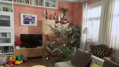 FOTO: Vánoční stromeček u Nyklů.