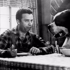 Pes Bohouš se ve skutečnosti jmenoval Baldur.