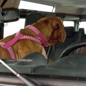 Smutnou informaci o jeho smrti sdělila médiím rodina.