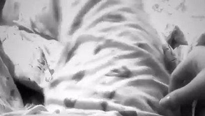 FOTO: Monika Bagárová