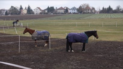 FOTO: Cestou můžete spatřit i koně.