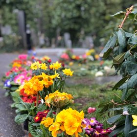 Fanoušci přinesli na hrob Mistra jaro.